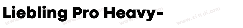 Liebling Pro Heavy字体转换